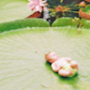 Meet your Posher, Kathryn